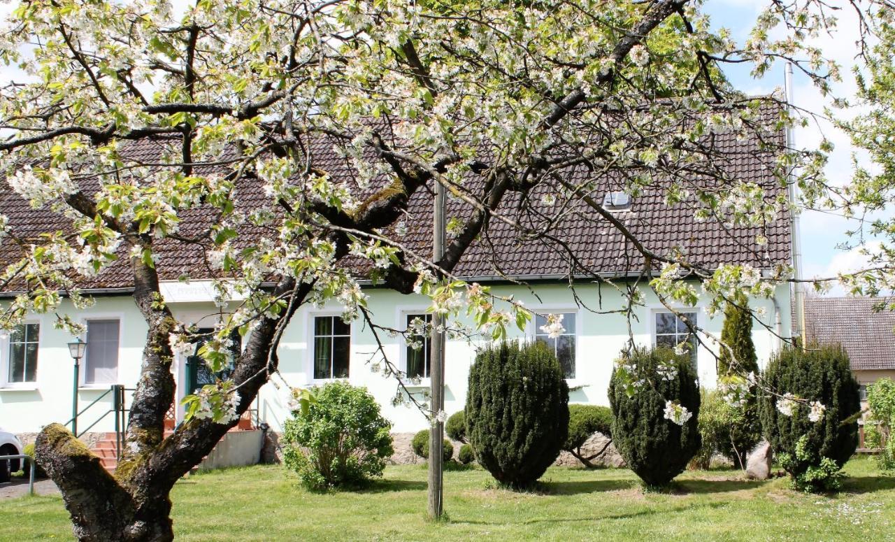 Pension Gestuet Lindenhof Templin Dış mekan fotoğraf